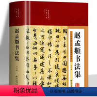 [正版]赵孟頫书法集 行楷书彩绘版字帖 书法初学者入门硬笔毛笔手写书法鉴赏国学经典临摹范本 国学经典行楷字帖字体书法