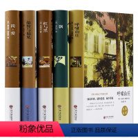 [正版]世界名著5册 傲慢与偏见中文版 飘 简爱 呼啸山庄 红与黑 插图外国文学小说 成人青少年版初中生课外读物书