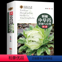 [正版]新编中草药识别与应用图谱 彩图大全书野外常见植物速查图鉴本草纲目全套神农经李时珍书籍图解中药材学 中草药大全书