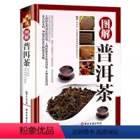 [正版]铜版纸精装 图解普洱茶茶文化书茶艺大全书籍书 识茶品茶泡茶图典中国茶道文化书籍 普洱茶书籍书籍书 茶文化百科图