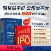 [正版]2册 从天使投资到IPO+民营企业融资全程操盘及案例解析 市场营销学股权架构设计书 企业战略管理类上市公司民营