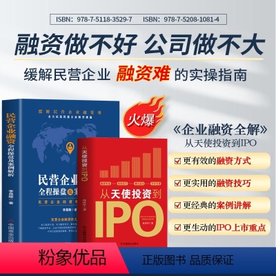 [正版]2册 从天使投资到IPO+民营企业融资全程操盘及案例解析 市场营销学股权架构设计书 企业战略管理类上市公司民营