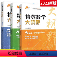 3本:七八九年级 数学 初中通用 [正版]学科精英大视野国一八九年级上册下册数学物理化学 全国通用 初中789年级初一二