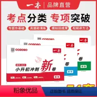 [三本]套装 小学升初中 [正版]冲刺小升初三步分类练真题 小升初总复习试卷 小升初冲刺新卷 语文数学英语名校冲刺历年真