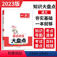 [正版]一本小学大盘点 小学语文基础手册知识大盘点 小学四五六年级小考总复习资料书人教版 小升初必背考点工具书 6年级