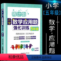 数学应用题 小学五年级 [正版]新版小学周计划五年级数学思维训练逻辑训练题天天练上册下册五年级数学专项同步训练计算题数学