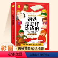 [彩图注音版]钢铁是怎样炼成的 [正版]钢铁是怎样炼成的原著注音版小学生一年级二年级课外阅读书6-8岁以上适合小学生看的
