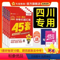 3本:语数英[2024新版] 四川省 [正版]2024新版四川中考45套汇编中考真题试卷语文数学英语物理化学金考卷中考模