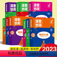 [热卖全套9本]初中速查妙用 初中通用 [正版]2023新版支点魔方速查妙用初中基础知识大全七八九年级语文数学英语物理化