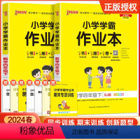 4下 语文人教版+数学苏教版 小学四年级 [正版]2024新版 小学学霸作业本四年级下册语文人教版数学苏教版小学学霸做业