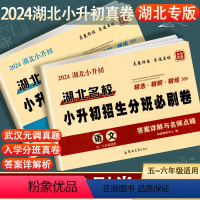 湖北名校 小升初招生分班必刷卷 [语文+数学] 小学升初中 [正版]2024湖北名校小升初招生分班必刷卷语文数学全2本小