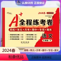 语文 人教版 五年级下 [正版]2024春 A+全程练考卷五年级语文下册人教版RJ a+全程练考卷5年级语文下同步练