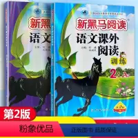 小学二年级 语文课外阅读训练A版+B版 [正版]2024新版 新黑马阅读语文课外阅读训练小学2年级A版B版二年级上册下册
