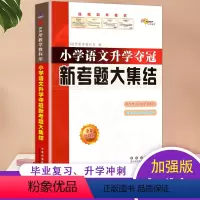 [正版]2023新版小升初小学语文升学夺冠新考题大集结全国68所教师小升初毕业语文小考辅导新考题经典题型小升初总复习中