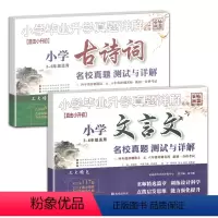 2本套装]文言文+古诗词测试详解 小学通用 [正版]2本小学文言文古诗词专项训练升学真题详解语文三四年级期末冲刺五六年级