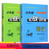 [正版]小升初实战训练语文阅读写作篇+基础训练篇共2本68所名校图书小升初重点学校语文命题大预测小学毕业升初中语文总复