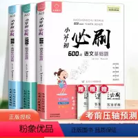 3本套装]语文+数学+英语 小学六年级 [正版]3本全脑训练小升初必刷题小学六年级上下册试卷数学专项训练 600道语文基