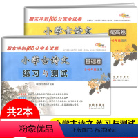 [正版]2册 新版小学古诗文练习与测试基础卷+提高卷三四五六 68所名校小学生3456年级期末冲刺100分完全试卷古文