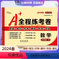 数学 人教版 六年级下 [正版]2024春 A+全程练考卷六年级数学下册人教版RJ a+全程练考卷6年级数学下同步练习