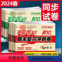 全套7册 人教版 七年级下 [正版]2024新版全套7册名校聚能闯关期末复习冲刺卷语文人教版数学英语生物思品历史地理七/