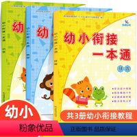 [正版]共3册 晨曦早教幼小衔接一本通拼音数学识字儿童书藉学前班幼儿园一日一练 早教基础标准课程幼升小入学早准备一本通