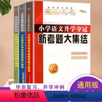 [3本]语文+数学+英语 新考题大集结 小学升初中 [正版]2023新版共3册小学数学/英语/小学语文升学夺冠新考题大集
