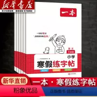 寒假练字帖 小学一年级 [正版]2024新版寒假练字帖 小学语文寒假阅读字帖 一二三四五六年级上下册练字帖语文寒假作业练