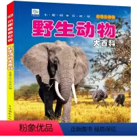 [选3件39元]野生动物 [正版]战车大百科注音版科普军事交通工具模型玩具绘本小百科读物全套科学认知幼儿幼儿宝宝儿童3-