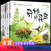 20册:科普绘本 第一辑 + 情绪管理绘本 [正版]大自然的奥秘 幼儿园科学启蒙绘本小中班阅读4一5岁幼儿绘本3–6岁儿