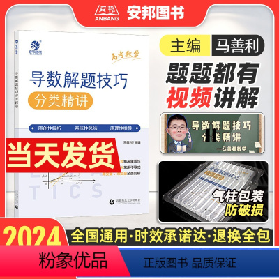 高考数学导数解题技巧 全国通用 [正版]2024马善利高考数学导数解题技巧分类精讲 高中数学解题模板 新高考数学导数答题