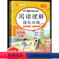 [语文专项套装]看拼音+练字帖+阅读理解+同步作文 五年级下 [正版]五年级下册阅读理解训练书每日一练小学生5年级语文课