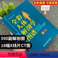 [正版]人体解剖彩色学图谱医学人体解剖全书生理学人体模型人体筋膜系统功能人体结构造骨骼肌艺术挂图谱中英文标识军事医学图
