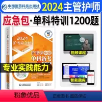 [正版]专业实践能力单科特训1200题主管护师2024年护理学中级习题集密押题库网课可以搭配丁人卫版轻松过随身记军医历