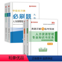 全套[基础+人力]真题+预测+必刷题 [正版]环球优路教育2024年中级经济师历年真题试卷模拟题库章节复习题集必刷题押题