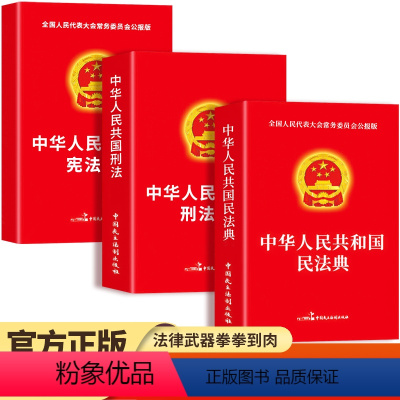 [正版]全3册 民法典+刑法+ 中华人民共和国民法典2024年理解与适用大全及相关司法解释汇编刑法一本通全套注