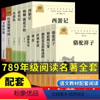 [配套人教版]初中阅读名著全套12册 [正版]全套12册 初中阅读名著十二本朝花夕拾鲁迅原著西游记海底两万里和骆驼祥子老