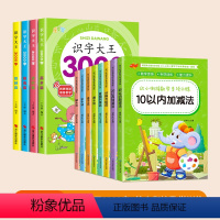 [全12册]识字大王3000字+幼小衔接数学训练 [正版]识字书幼儿认字 识字大王3000字 幼儿识字启蒙认字卡片 识字