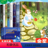 [全8册礼盒装]纽伯瑞儿童文学-金奖作品集 [正版]纽伯瑞国际儿童文学金奖作品小说系列全套8册 小学生三四五六年级阅读的