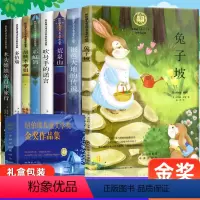 [全8册礼盒装]纽伯瑞儿童文学-金奖作品集 [正版]纽伯瑞国际儿童文学金奖作品小说系列全套8册 小学生三四五六年级阅读的