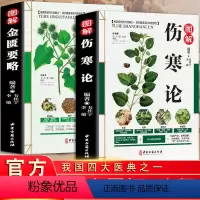 [正版]全2册 伤寒论+金匮要略 伤寒论张仲景原著白话文中草药彩色图鉴大全书籍注解版中医养生书伤寒杂病论辑义全套