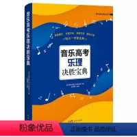 [正版]音乐高考乐理决胜宝典 基本乐理高等学校入学考试自学参考资料 花城出版社 高考乐理基础强化专题攻坚真题实战模拟试