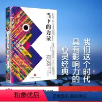 [正版] 当下的力量(白金版) 精装 埃克哈特·托利 着 身心灵 张德芬作序 出版社图书 自我励志经典之作
