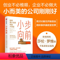 [正版]小步向前 如何用小生意创造大效益 莎伦罗维著 一个温和且实用的不焦虑创业指南 小而美的公司刚刚好 出版社图书