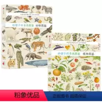 给孩子的自然图鉴(套装2册) [正版]7-10岁给孩子的自然图鉴 套装2册 呈现700多种动植物的生命形态幼儿儿童科普读