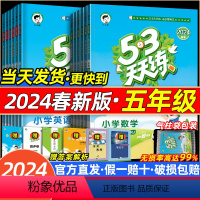 [3本全套]语数英·人教版 五年级上 [正版]2024春新版53天天练五年级语文数学英语人教版533天天练RJ湘少译林精