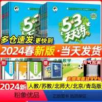 [2本]语文人教版+数学人教版 二年级下 [正版]2024春新版53天天练二年级上册下册语文数学英语全套小儿郎五三天天练