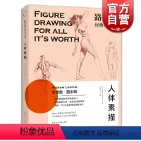 [正版] 路米斯经典美术课-人体素描 安德鲁路米斯 西方经典美术技法译丛 西方人体静物写生素描绘画美术艺术教程 上海人