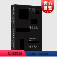 [正版]2023豆瓣年度书单漆中之黑 杜可风著自传体随笔记王家卫御用名家摄影师电影艺术上海文艺代表作重庆森林花样年华2