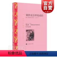 钢铁是怎样炼成的(译文名著精选).. [正版]钢铁是怎样炼成的 初中原著世界名著译本课外书 译文名著精选 外国文学小说