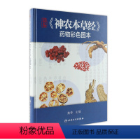 [正版]精编神农本草经药物彩色图本 自学中医入门医学类原版图解图鉴本草纲目伤寒论黄帝内经杂病原著中药材中药书中草药书籍